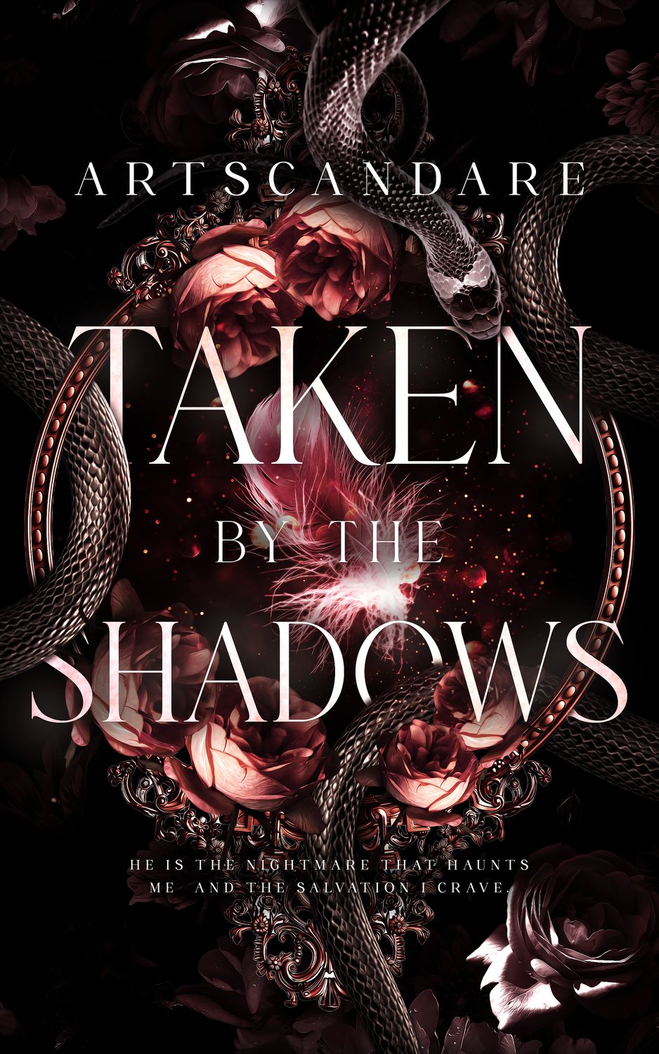 TAKEN BY THE SHADOW