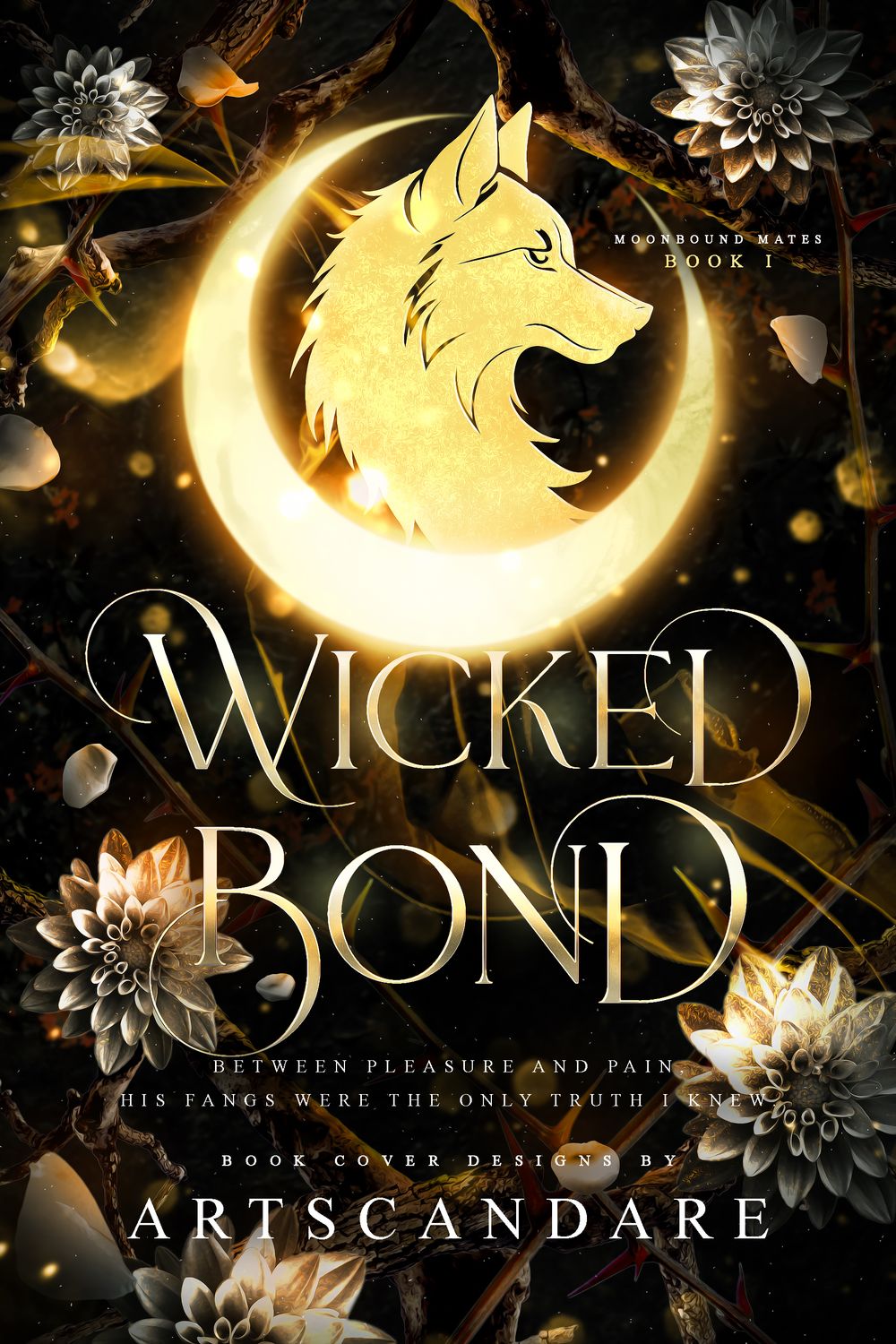 TRILOGY SET: WICKED BOND, SAVAGE OATH, FERAL CLAIM