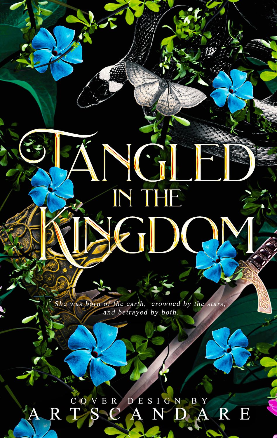 TANGLED IN THE KINGDOM