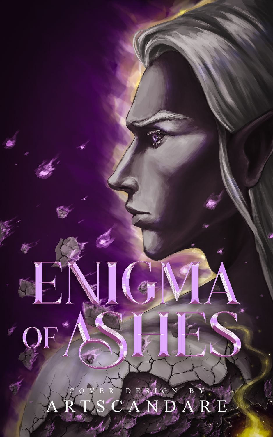 DUOLOGY SET (ILLUSTRATED): ENIGMA OF ASHES, ENIGMA OF SEPIA