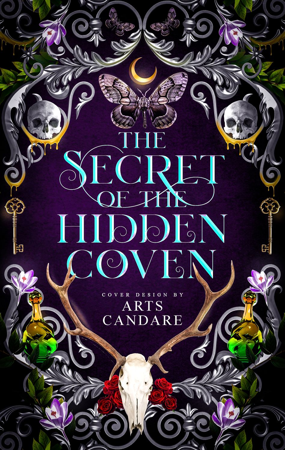 SINGLE COVER PACKAGE: THE SECRET OF THE HIDDEN COVEN