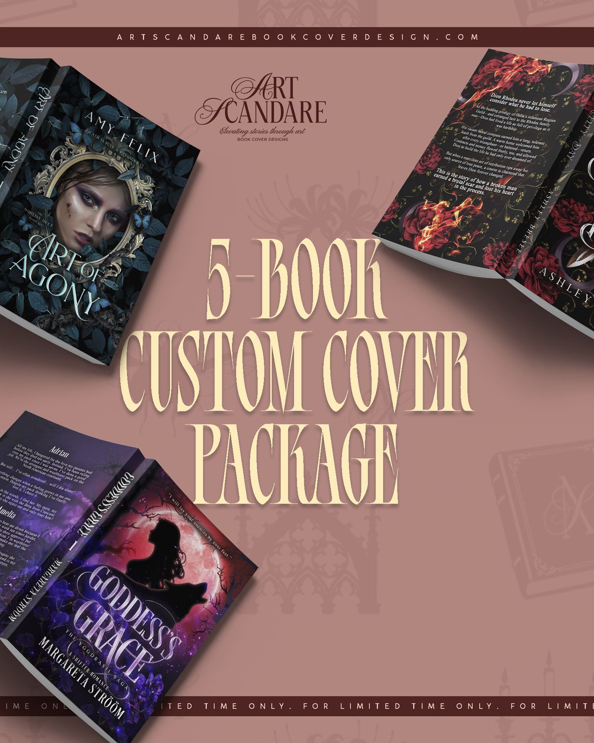5-Book Custom Cover Package (Custom Cover Sale)