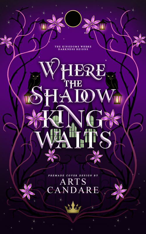 FULLY ILLUSTRATED TRILOGY COVER PACKAGE:  WHERE THE SHADOW KING WAITS, WHERE THE RAVEN PRINCE RULES, WHERE THE WOLF QUEEN RISES