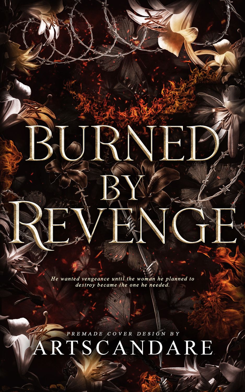 SINGLE COVER PACKAGE: BURNED BY REVENGE