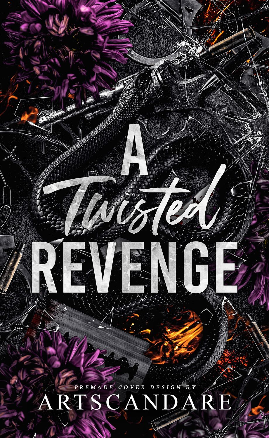 SINGLE COVER PACKAGE: A TWISTED REVENGE