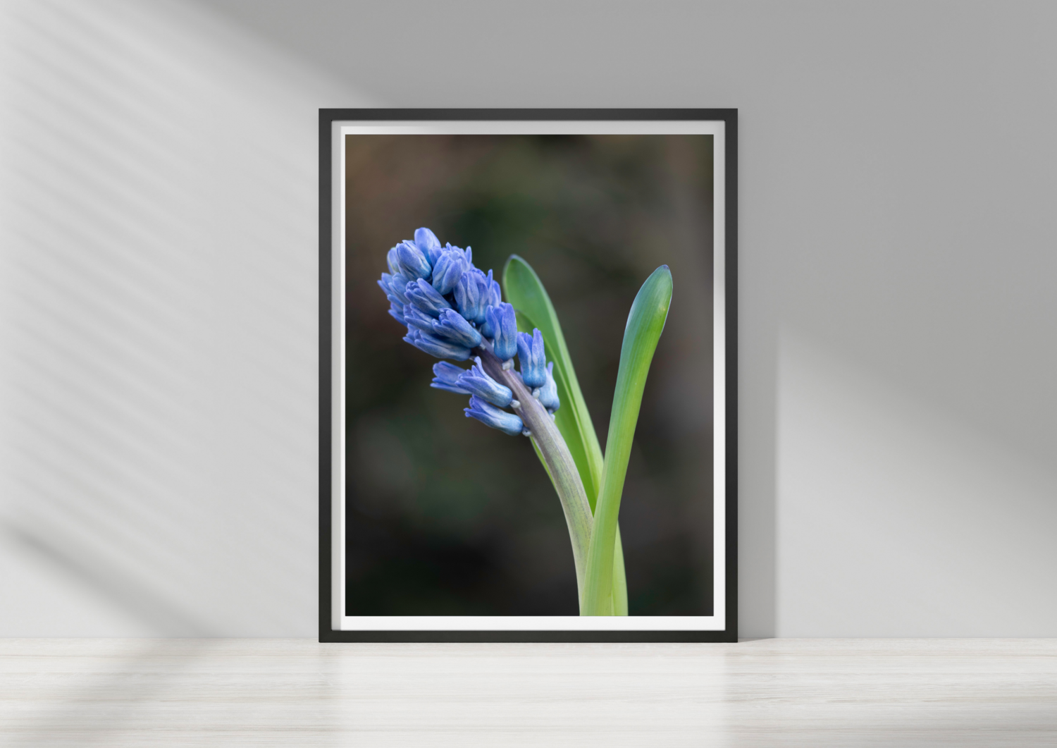 Spring Blue
