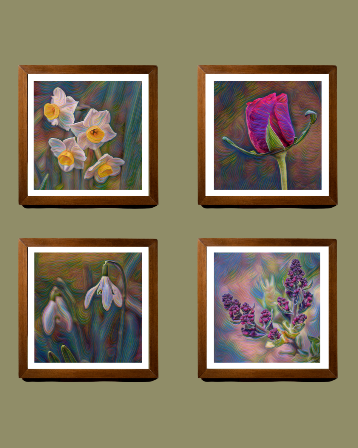 Spring Collective