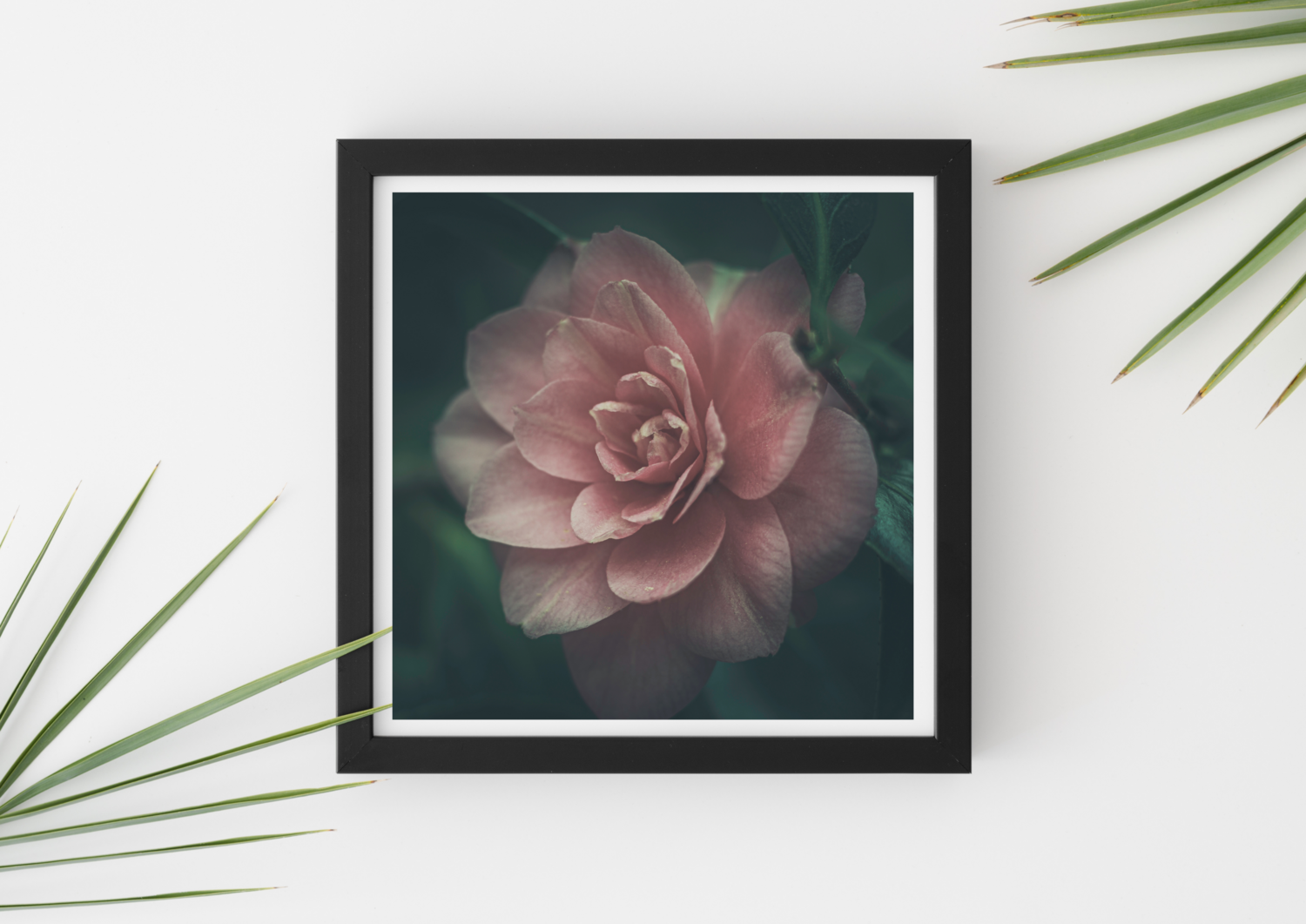 Reminiscent Spring