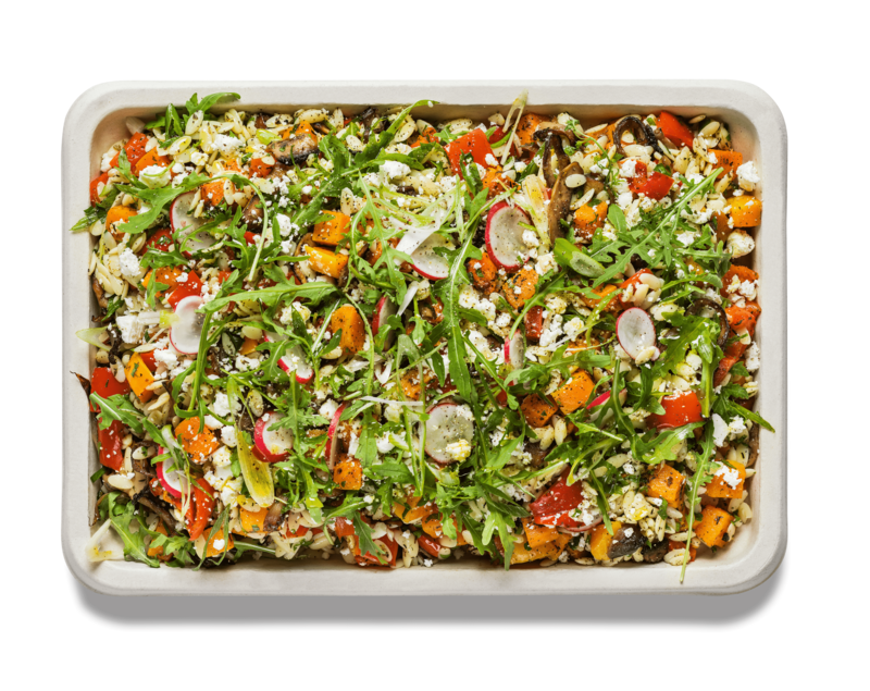 Orzo Pasta, Butternut and Mushrooms (V)