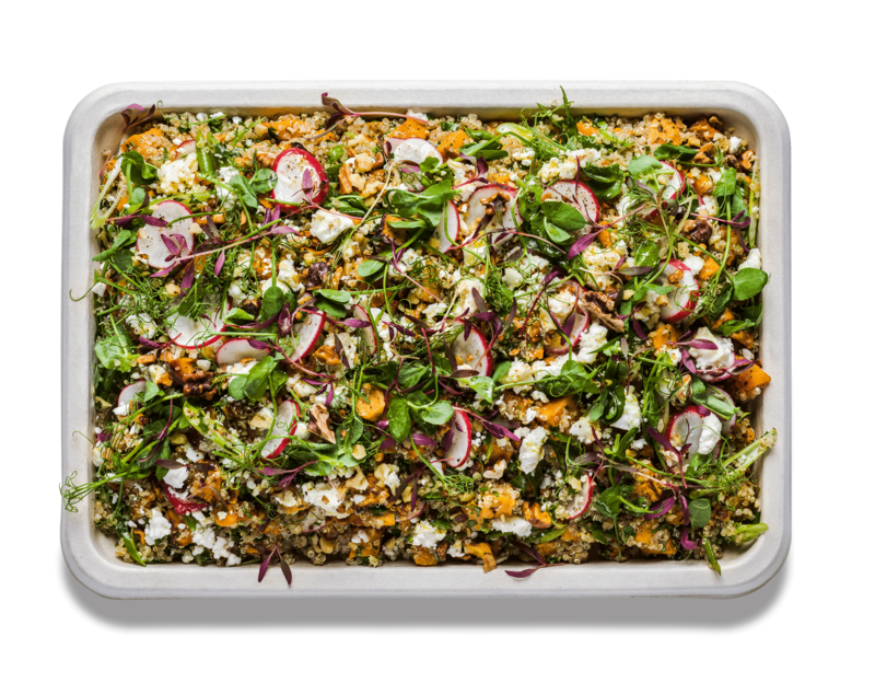 Quinoa and Sweet Potato (V) (GF)