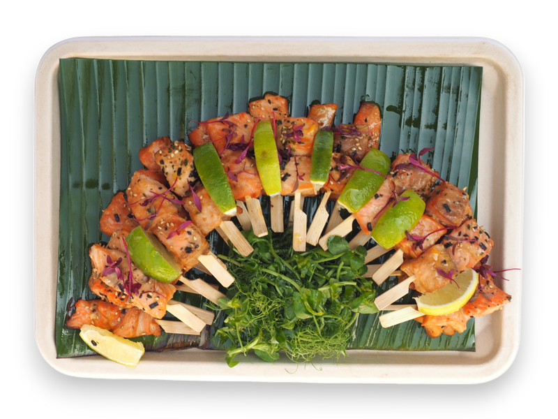 Miso Salmon Skewers (GF) (DF)