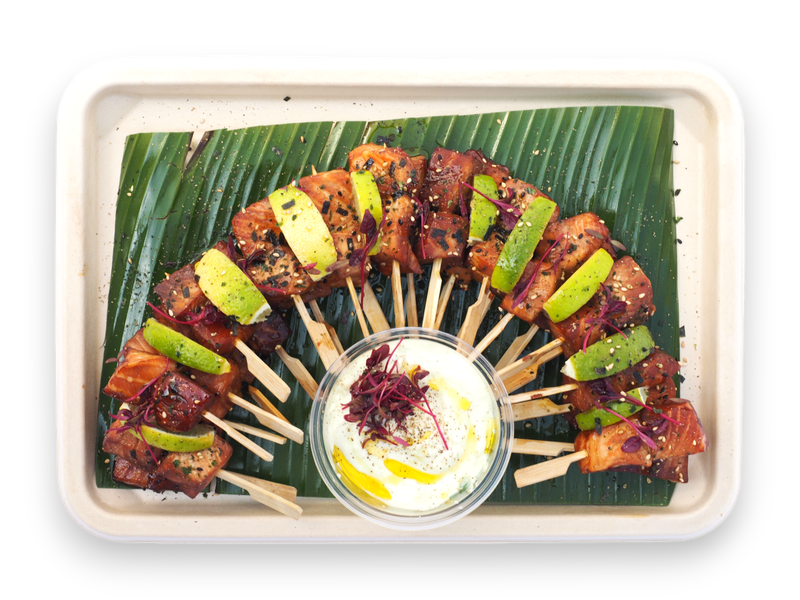 Teriyaki Salmon Skewers (GF) Teriyaki Salmon Skewers (GF)