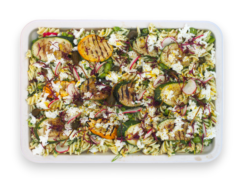 Fusilli Pasta with Grilled Courgette (V)