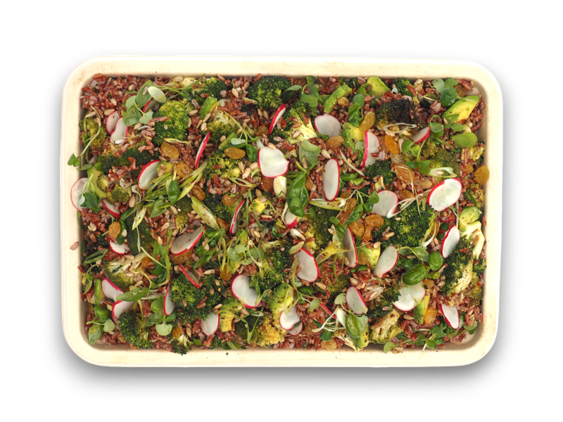 Broccoli and Red Rice (VG) (GF)