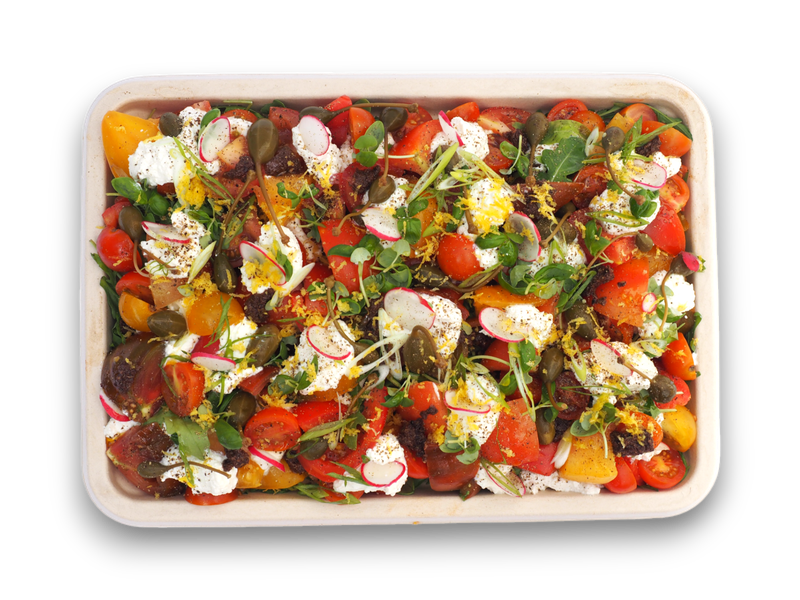 Chunky Heritage Tomato and Ricotta Salad  (V) (GF)