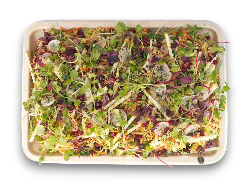 Summer Coleslaw (VG) (GF)