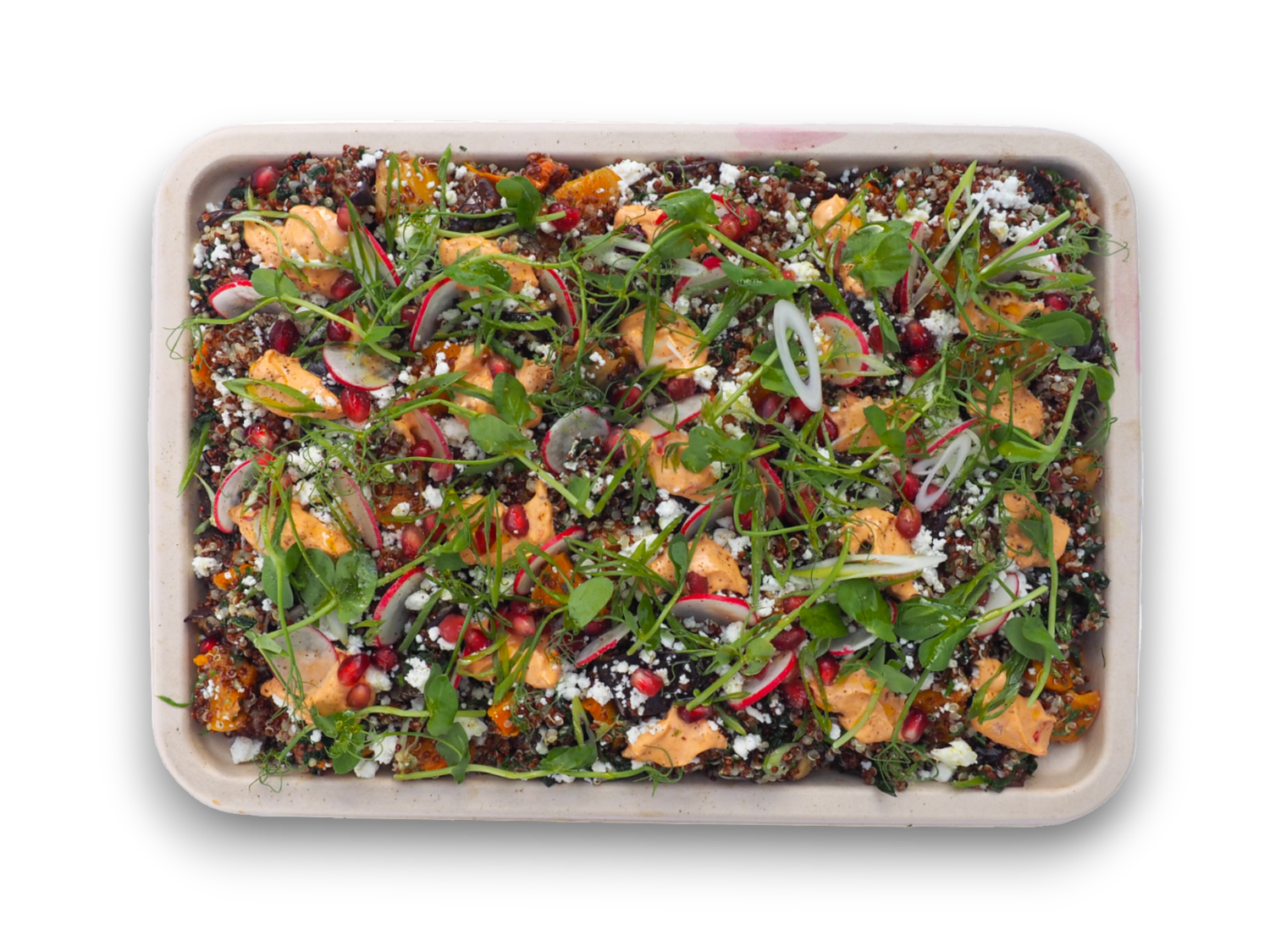 Aubergine, Cabbage and Black Quinoa (V) (GF)