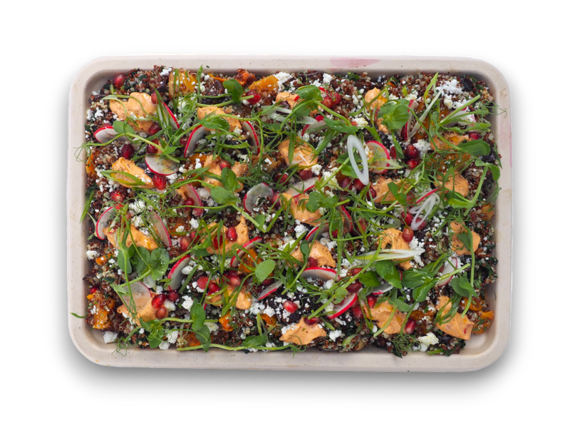 Aubergine, Cabbage and Black Quinoa (V) (GF)