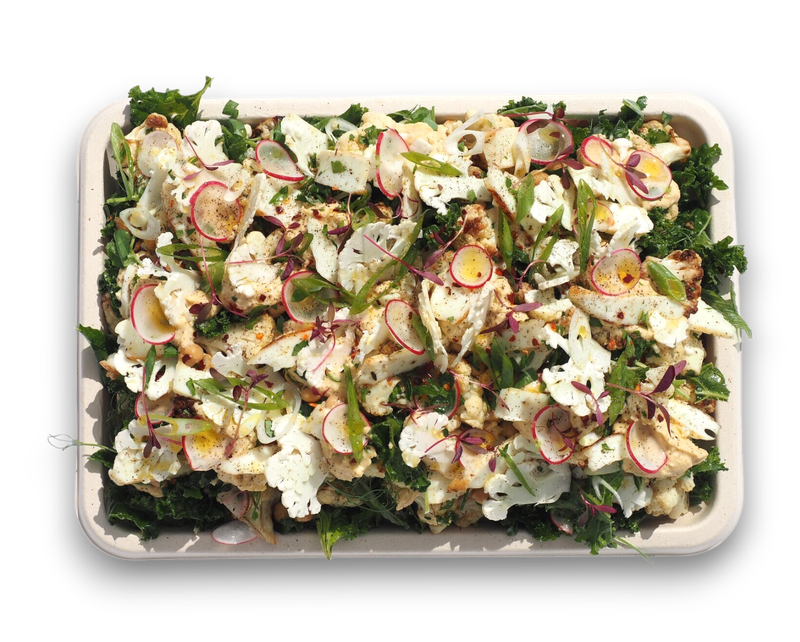 Grilled Cauliflower and Halloumi (V) (GF)