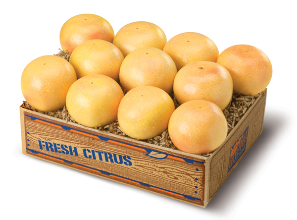 DIRECT DELIVERY - RUBY RED GRAPEFRUIT