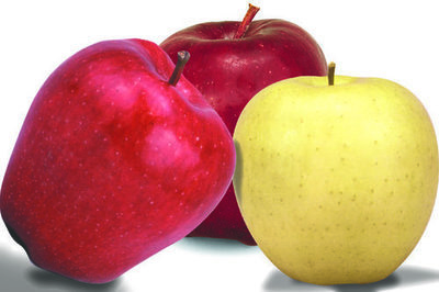 LOCAL DELIVERY - WASHINGTON STATE APPLES - RED & GOLDEN