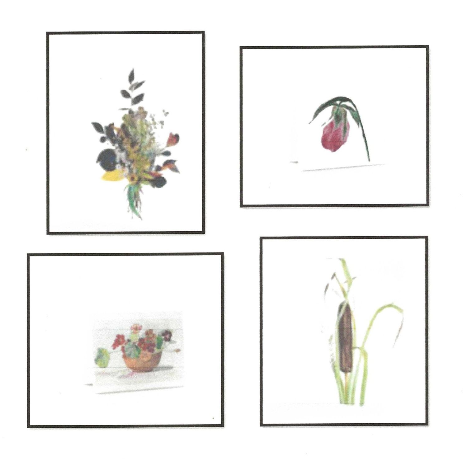 Lancaster's Chandler Family Art Notecards