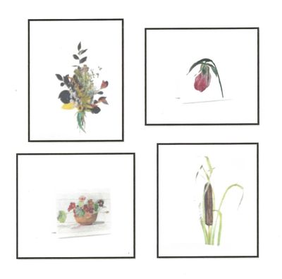 Lancaster's Chandler Family Art Notecards