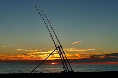 Beach Caster Rods