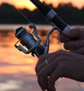 Reels