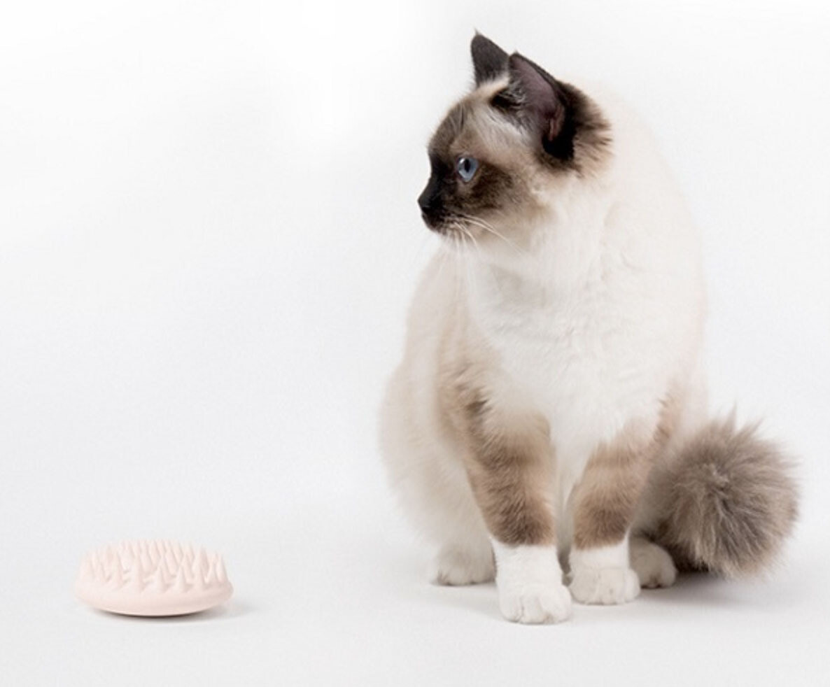 PETKIT Cat Brush and Massager pink - 按摩刷宠物梳子粉色