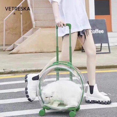 Vetreska Transparent Pets Carrier（9kg max)