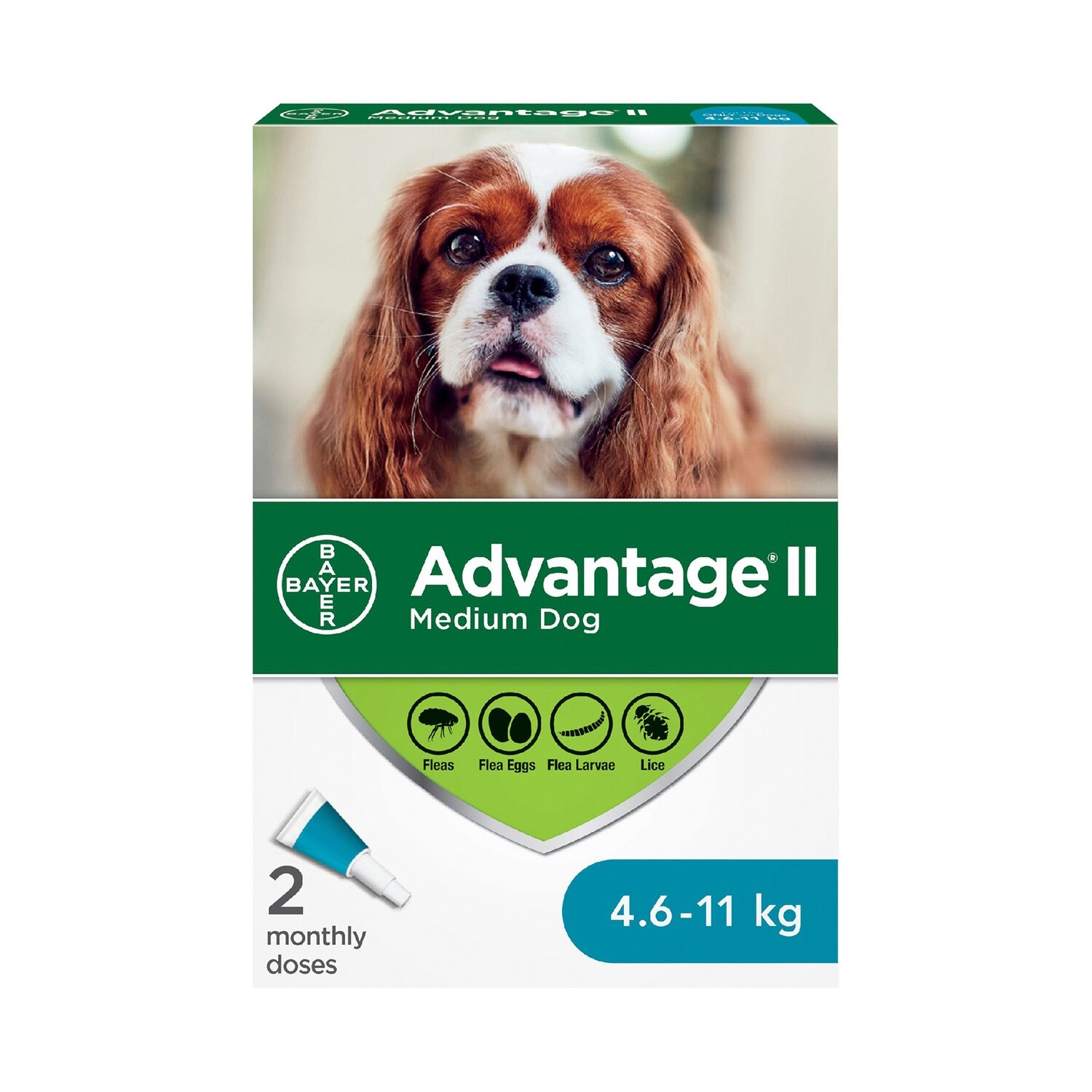 Advantage® II Medium Dog Once-A-Month Topical Flea Treatment （4.6-11kg）- 中型犬专用体外驱虫滴剂 4 doses（4.6-11kg）