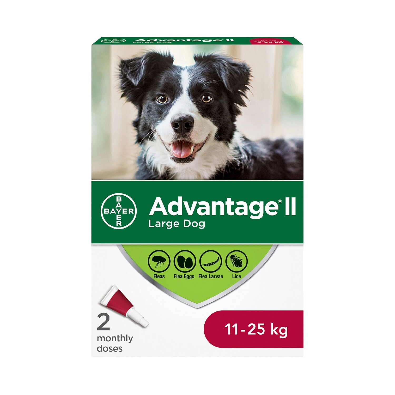 Advantage® II 体外驱除虫跳蚤虱子滴剂 大型犬专用 4 doses