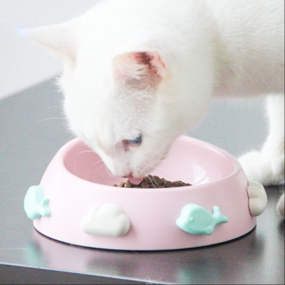 Rainbow Pet Bowl-White - 彩虹树脂宠物碗 白色（彩虹款）