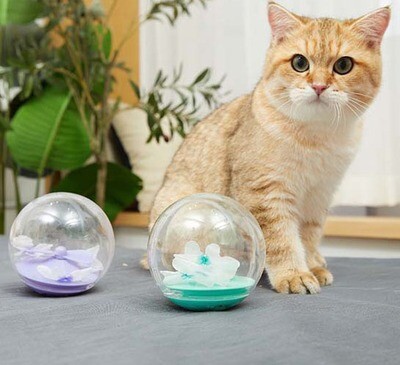 FOFOS Cat Planet Electric Toy - 电动不倒翁玩具球