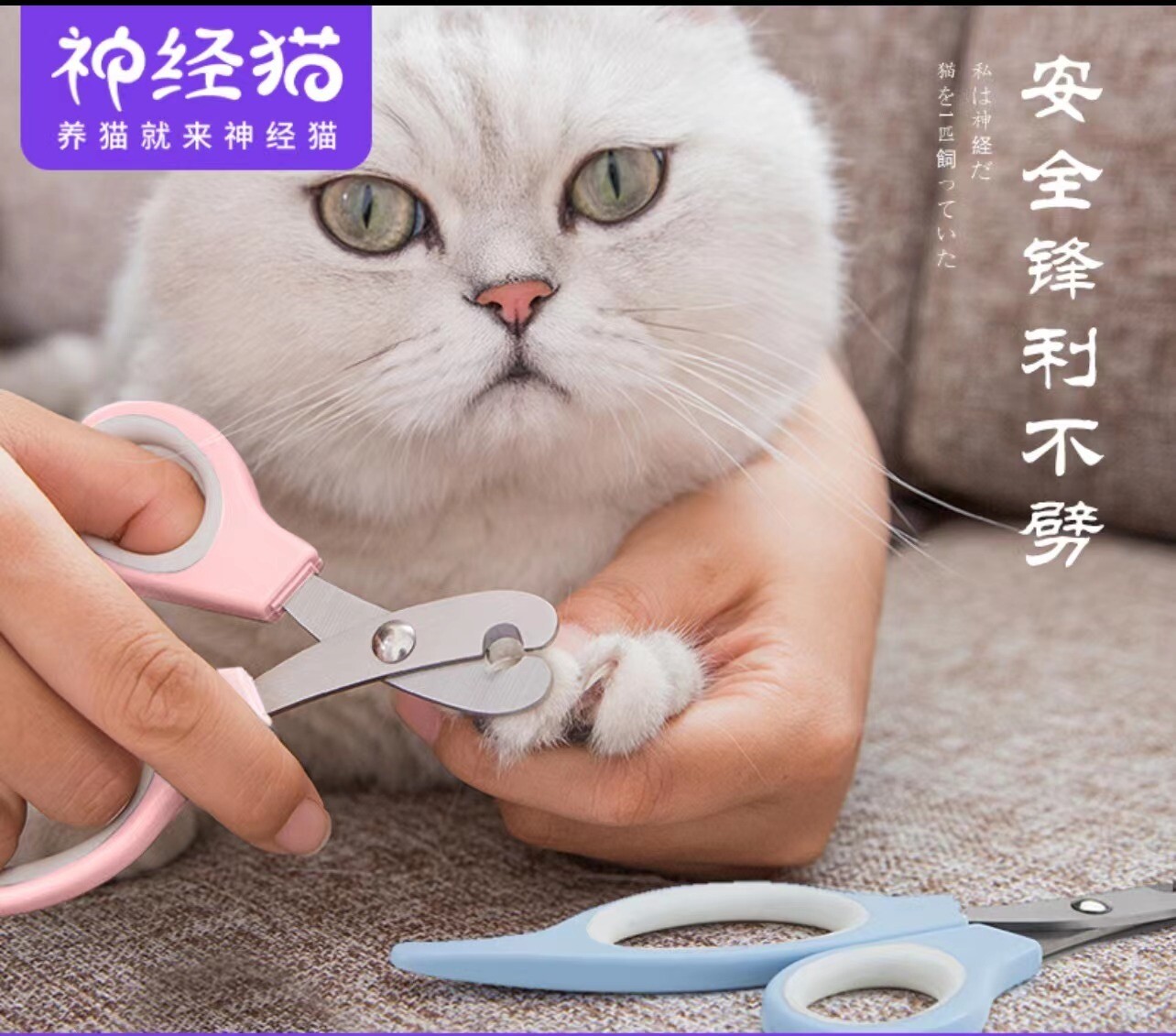 Touch Cat Color pet nail clippers with Nail file