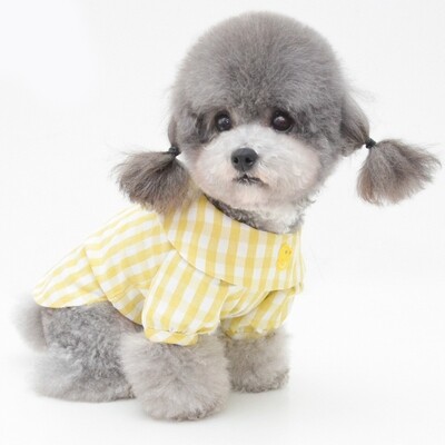 New pet clothes in spring and summer - 春夏新款宠物衣服
