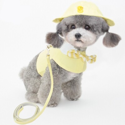 Pet clothes with leash
