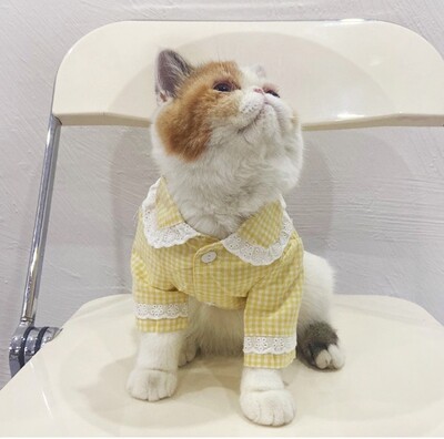Little Daisy Lace Plaid Shirt Pet Clothes - 小雏菊蕾丝领格子衬衫