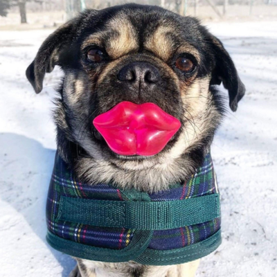 FouFou Brands Paci-Chew Lips Dog Chew Toy
