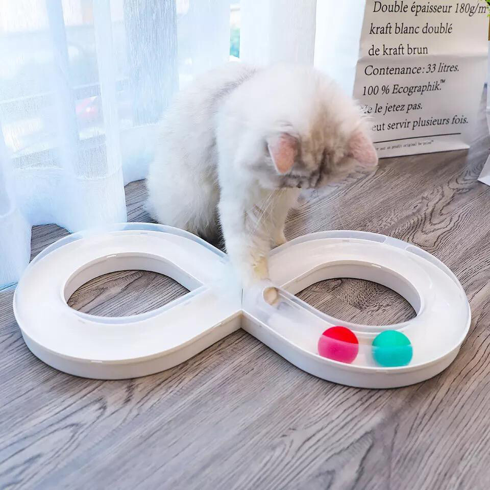 Cat Track ball toy