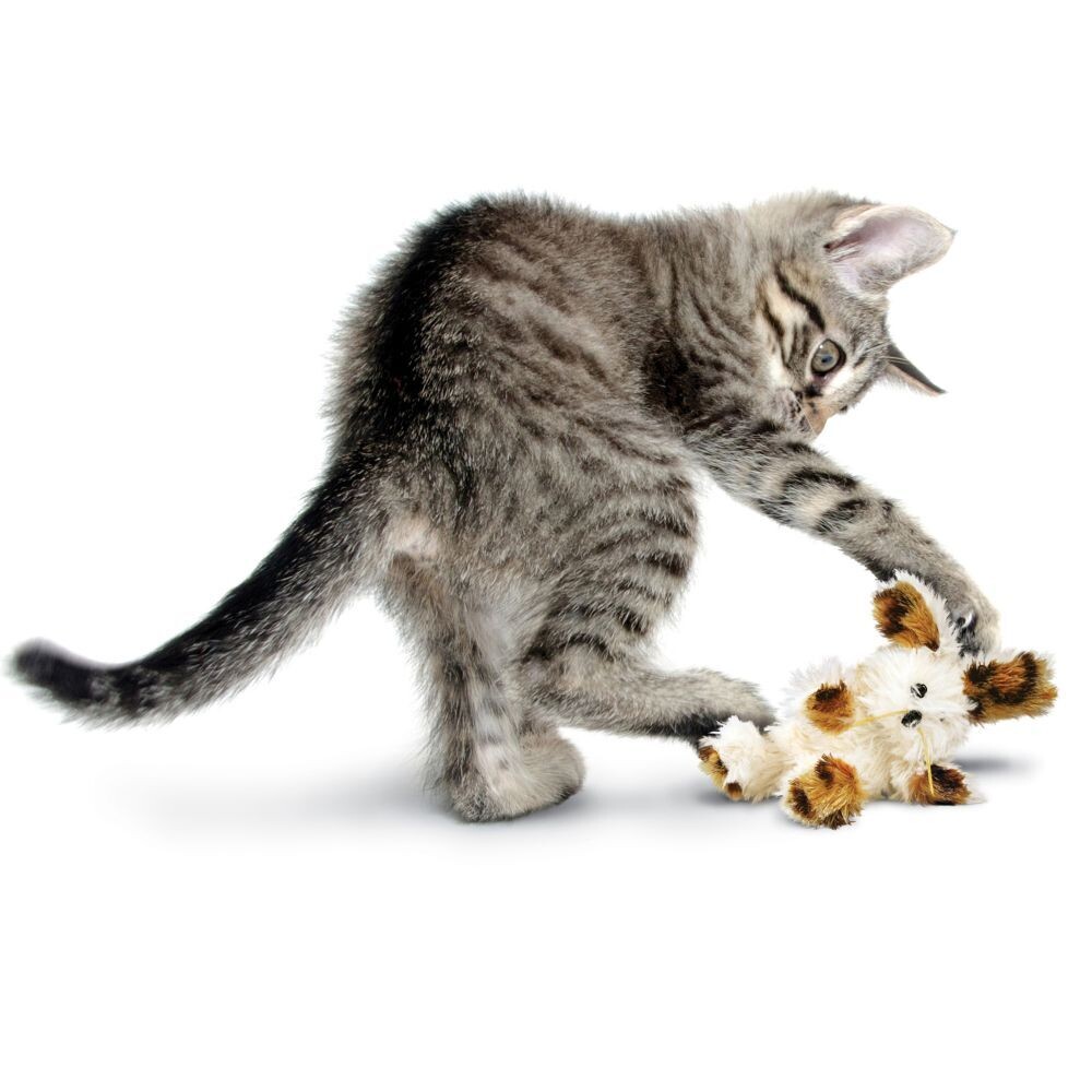 KONG Softies Patchwork Bear Catnip Cat Toy