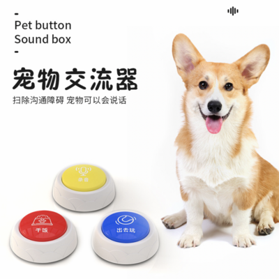 Pet training bell w/ chinese instruction/recording instruction