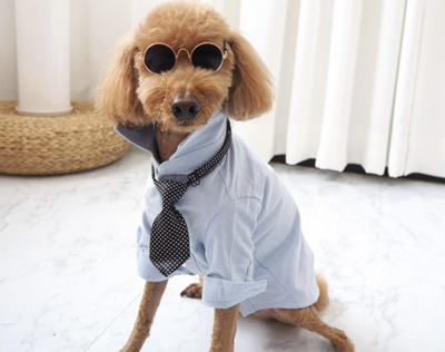Pet Sunglasses Pet Accessories-宠物饰品拍照道具墨镜