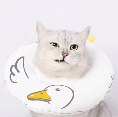 Miaoho goose Collar for cats-大白鹅伊丽莎白圈