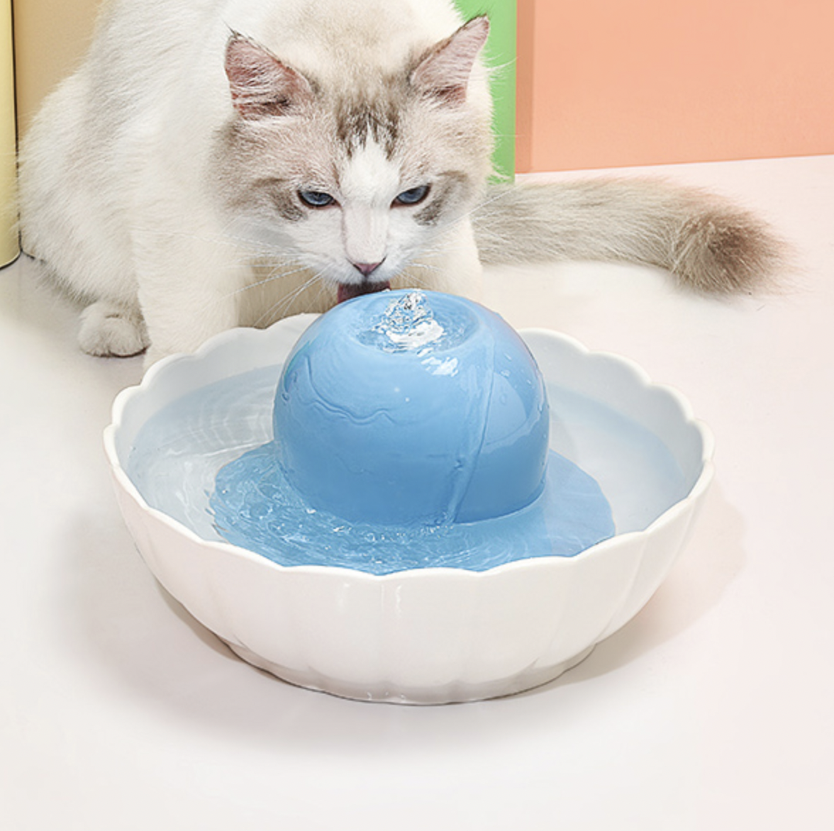 Pet Electric water fountain（Filter）