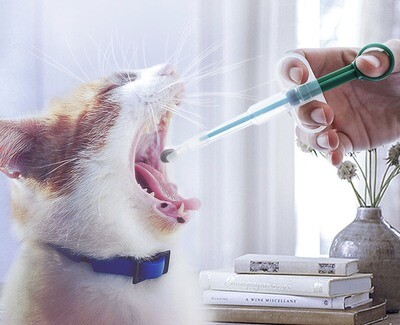 Pet medicine feeder-宠物喂药器