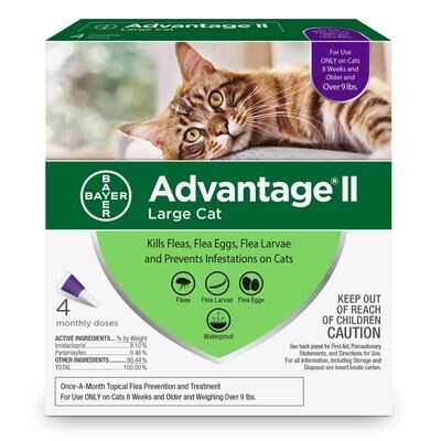 AdvantageII Large Cat Once-A-Month Topical Flea Treatment>4kg