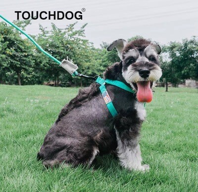 Touchdog harness and leash set