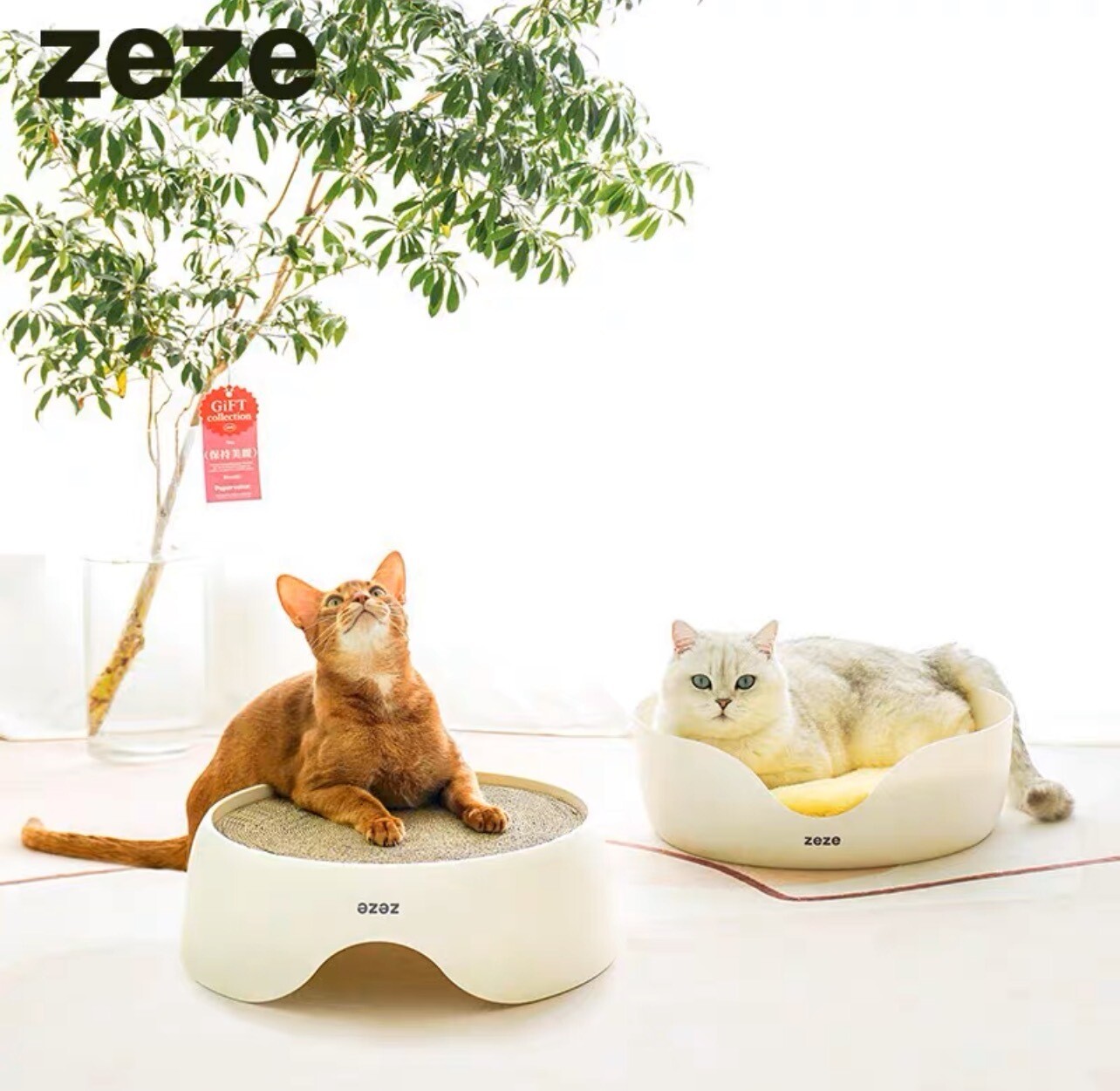 Zeze cat Scratcher& Bed